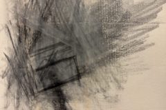 Beet_2