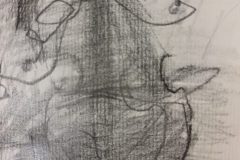 Beet_3