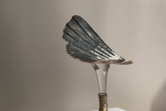 1IMG_7116